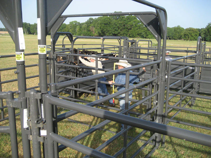 Recent news about Rough Stock Panels