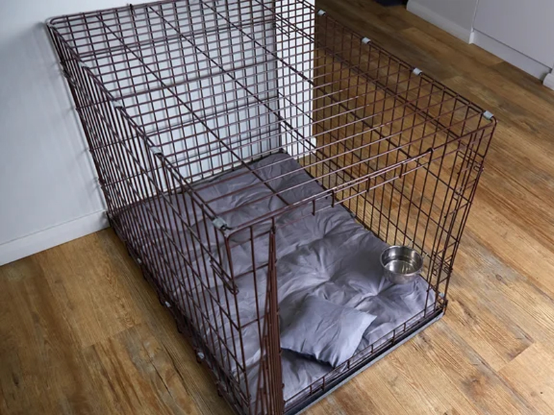 Woman's Smart Solution Takes Dog Crate From An Eyesore To Enviable: 'It's Lifewell!'